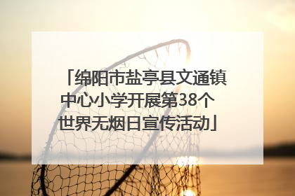 绵阳市盐亭县文通镇中心小学开展第38个世界无烟日宣传活动