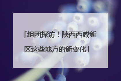 组团探访！陕西西咸新区这些地方的新变化