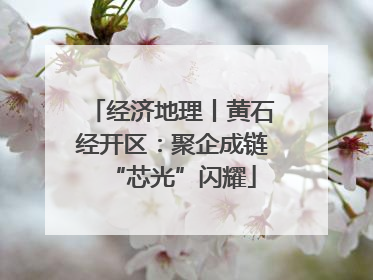 经济地理丨黄石经开区：聚企成链“芯光”闪耀