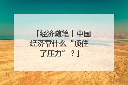 经济随笔丨中国经济靠什么“顶住了压力”？