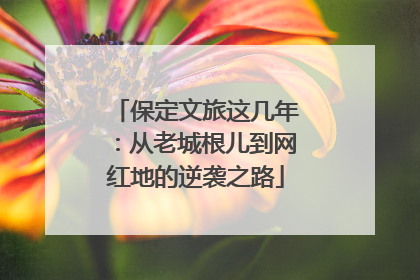 保定文旅这几年：从老城根儿到网红地的逆袭之路