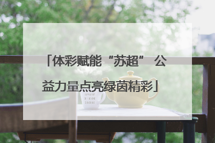 体彩赋能“苏超” 公益力量点亮绿茵精彩