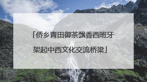 侨乡青田御茶飘香西班牙 架起中西文化交流桥梁