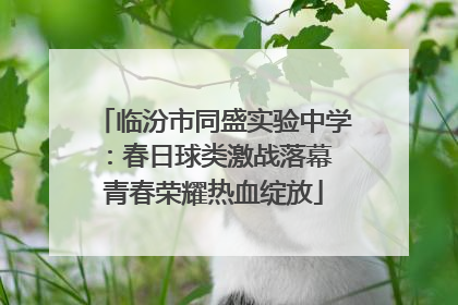 临汾市同盛实验中学：春日球类激战落幕 青春荣耀热血绽放