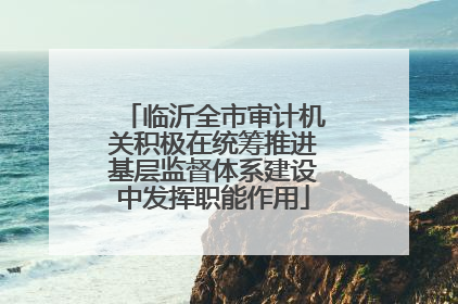 临沂全市审计机关积极在统筹推进基层监督体系建设中发挥职能作用