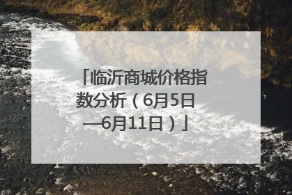 临沂商城价格指数分析（6月5日—6月11日）
