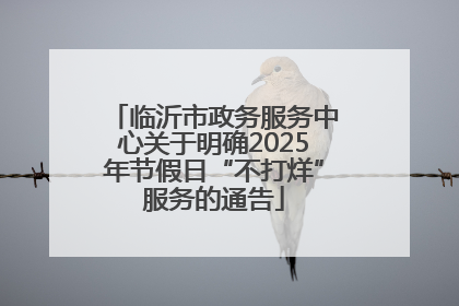 临沂市政务服务中心关于明确2025年节假日“不打烊”服务的通告