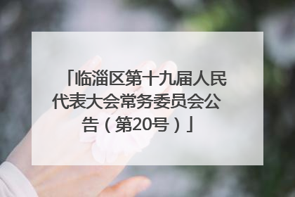 临淄区第十九届人民代表大会常务委员会公告（第20号）