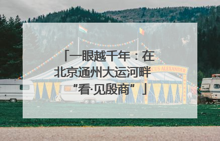 一眼越千年：在北京通州大运河畔“看·见殷商”