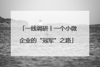 一线调研丨一个小微企业的“冠军”之路