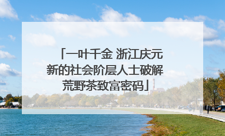 一叶千金 浙江庆元新的社会阶层人士破解荒野茶致富密码