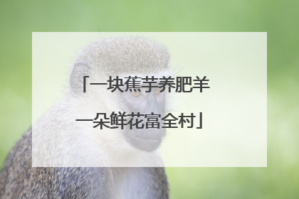 一块蕉芋养肥羊 一朵鲜花富全村