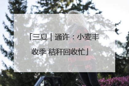 三夏｜通许：小麦丰收季 秸秆回收忙