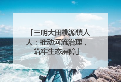 三明大田桃源镇人大：推动河流治理，筑牢生态屏障