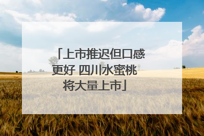 上市推迟但口感更好 四川水蜜桃将大量上市
