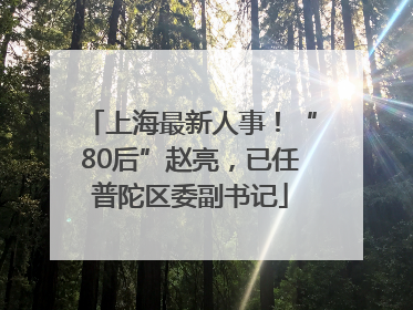 上海最新人事！“80后”赵亮，已任普陀区委副书记