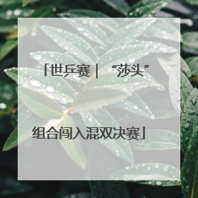 世乒赛｜“莎头”组合闯入混双决赛