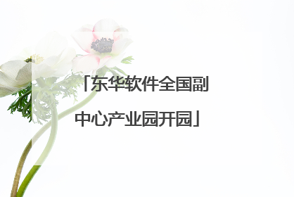 东华软件全国副中心产业园开园