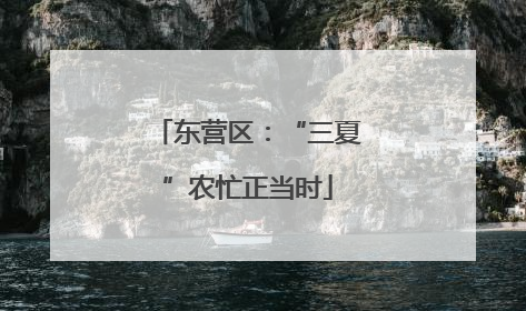东营区：“三夏”农忙正当时