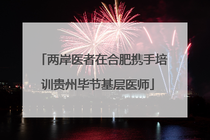 两岸医者在合肥携手培训贵州毕节基层医师