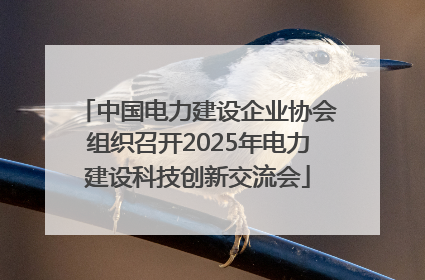 中国电力建设企业协会组织召开2025年电力建设科技创新交流会