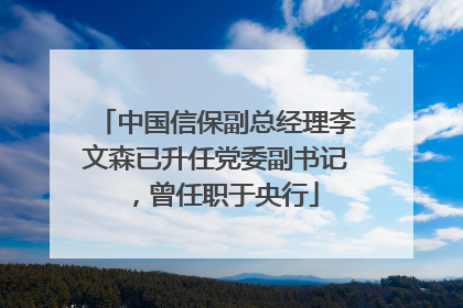 中国信保副总经理李文森已升任党委副书记，曾任职于央行