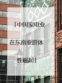 中国家电业在东南亚群体性崛起