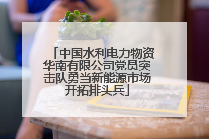 中国水利电力物资华南有限公司党员突击队勇当新能源市场开拓排头兵