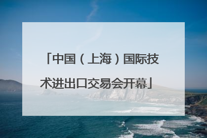 中国（上海）国际技术进出口交易会开幕