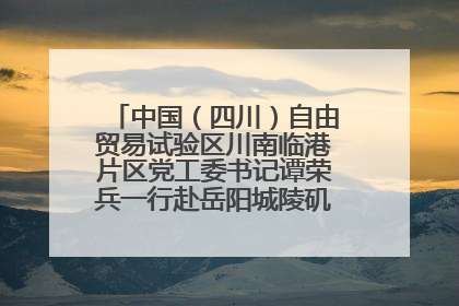 中国（四川）自由贸易试验区川南临港片区党工委书记谭荣兵一行赴岳阳城陵矶综保区考察