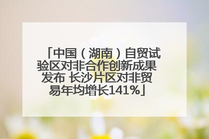 中国（湖南）自贸试验区对非合作创新成果发布 长沙片区对非贸易年均增长141%