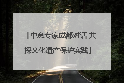 中意专家成都对话 共探文化遗产保护实践