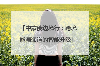 中蒙俄边境行：跨境能源通道的智能升级