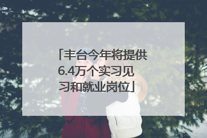 丰台今年将提供6.4万个实习见习和就业岗位
