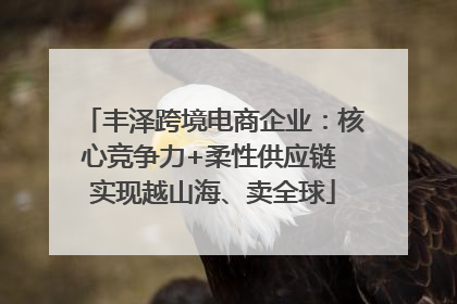 丰泽跨境电商企业：核心竞争力+柔性供应链 实现越山海、卖全球