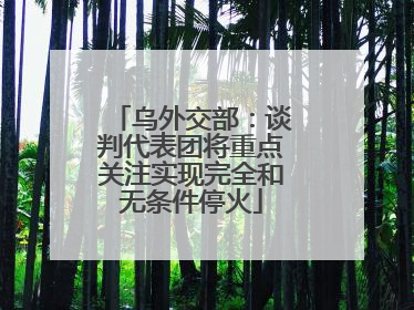 乌外交部：谈判代表团将重点关注实现完全和无条件停火
