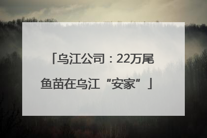 乌江公司：22万尾鱼苗在乌江“安家”