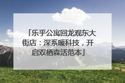 乐乎公寓回龙观东大街店：深系暖科技，开启双栖森活范本