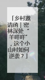 乡村邀请函｜密林深处“羊咩咩”，这个小山村如何逆袭？