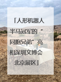 人形机器人半马冠军的“同胞兄弟”亮相深圳文博会北京展区