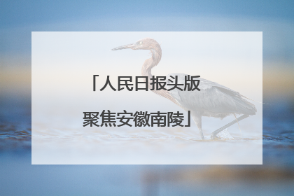 人民日报头版聚焦安徽南陵