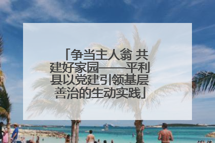 争当主人翁 共建好家园——平利县以党建引领基层善治的生动实践