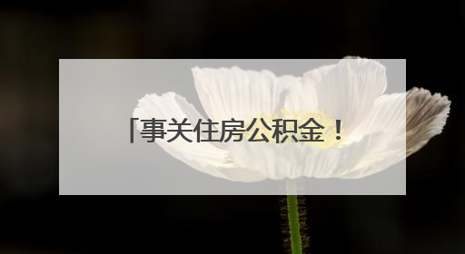 事关住房公积金！蚌埠发布最新通知