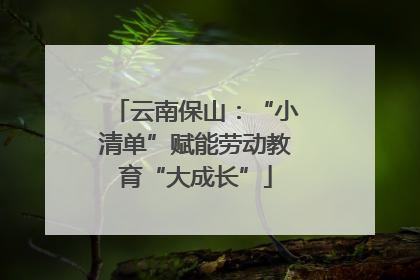 云南保山：“小清单”赋能劳动教育“大成长”