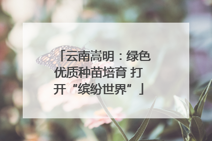 云南嵩明：绿色优质种苗培育 打开“缤纷世界”