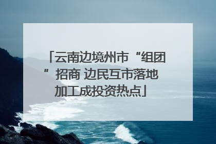 云南边境州市“组团”招商 边民互市落地加工成投资热点