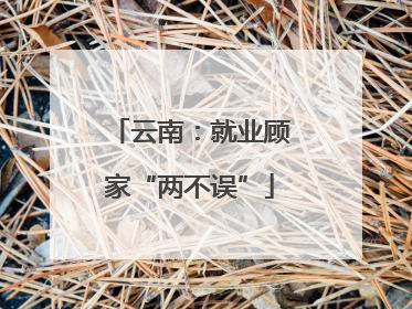 云南：就业顾家“两不误”