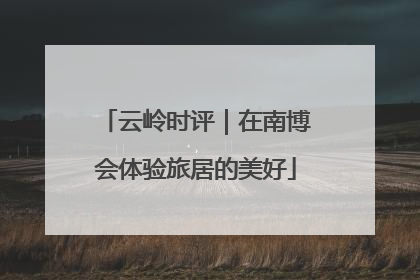 云岭时评｜在南博会体验旅居的美好