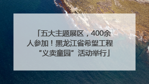 五大主题展区，400余人参加！黑龙江省希望工程“义卖童园”活动举行