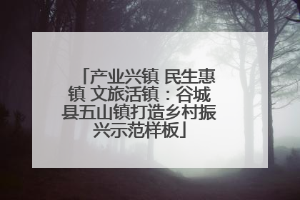 产业兴镇 民生惠镇 文旅活镇：谷城县五山镇打造乡村振兴示范样板